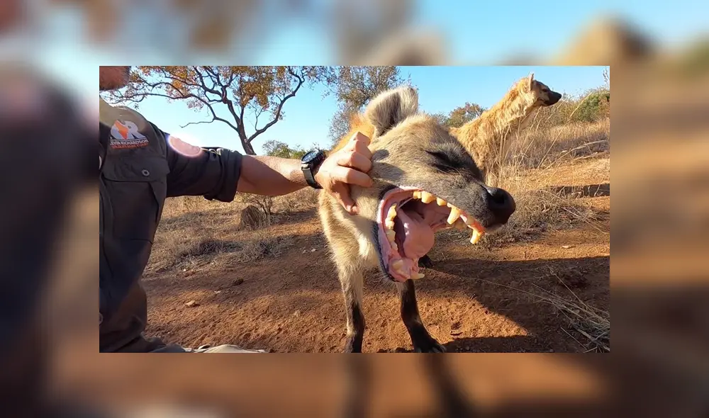 Desliza hacia la izquierda para ver las imágenes del viral de YouTube. Foto: Captura.