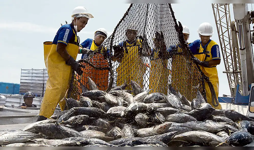 Proponen incrementar el consumo de pescado