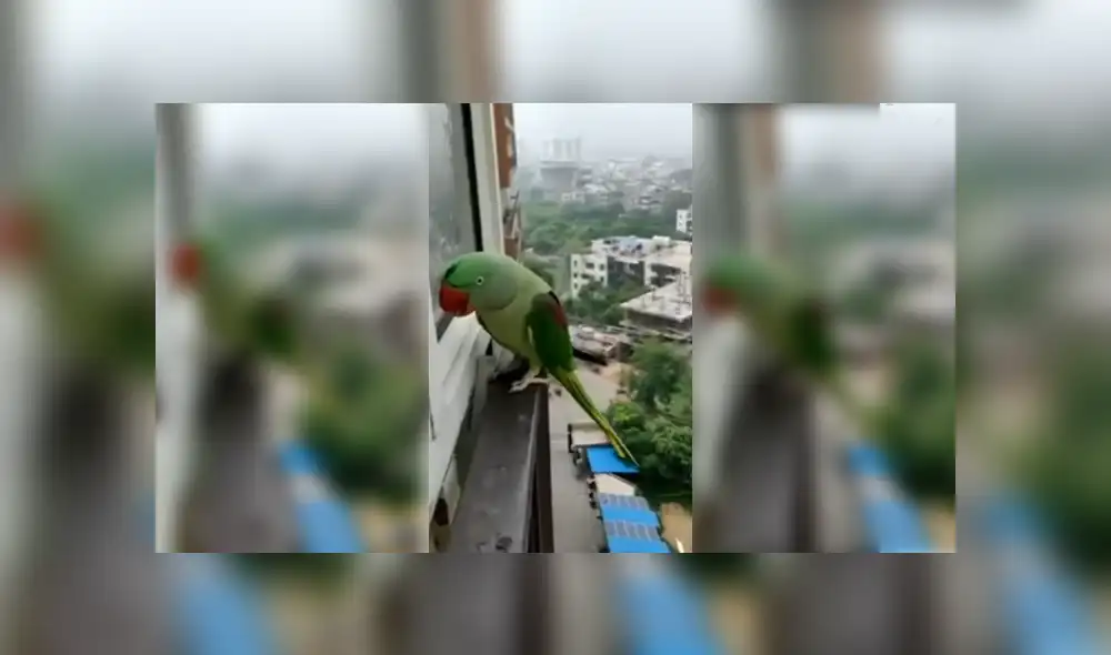 Desliza para ver los detalles del video viral publicado en YouTube. Foto: Captura. Desliza para ver los detalles del video viral publicado en YouTube. Foto: Captura.