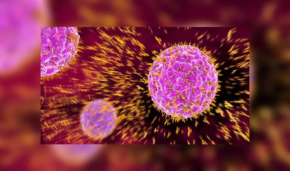 Para "controlar la metástasis", Joan Massagué le da una importancia capital a los anticuerpos. Foto: difusión