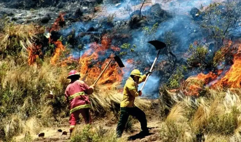 Cusco: impresionantes imágenes del incendio forestal cerca a Sacsayhuaman Cusco: impresionantes imágenes del incendio forestal cerca a Sacsayhuaman