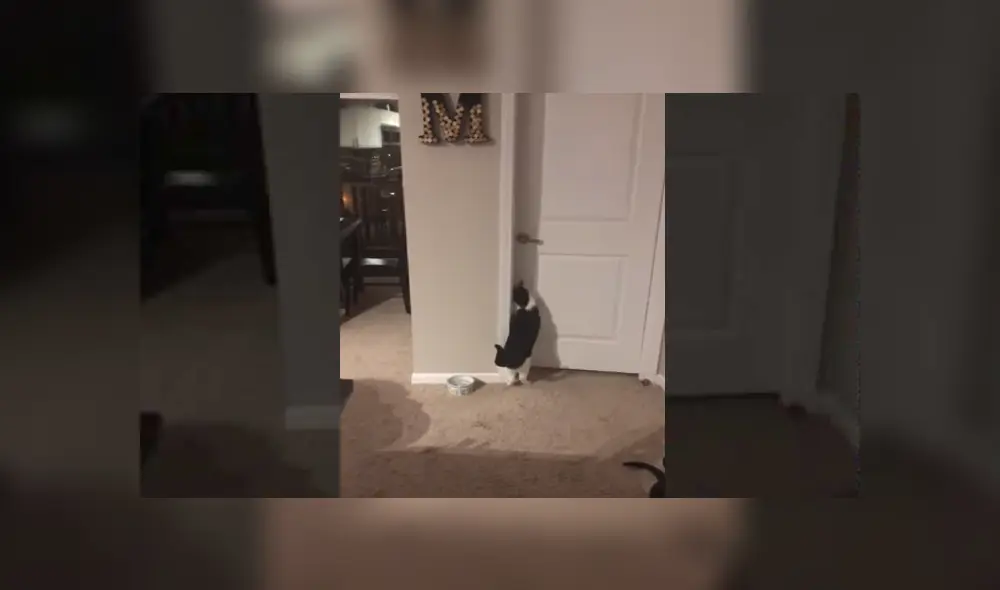 Desliza para ver los detalles del video viral publicado en YouTube. Foto: Captura. Desliza para ver los detalles del video viral publicado en YouTube. Foto: Captura.