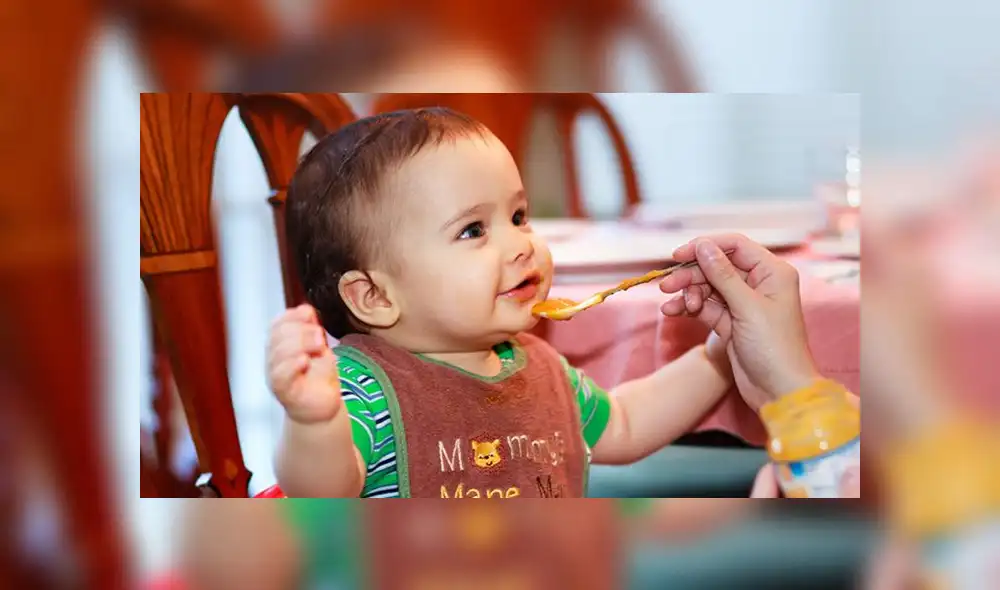 Para los niños entre 6 a 8 meses se recomienda darles alimentos espesos como papillas y purés. (Foto: Difusión)