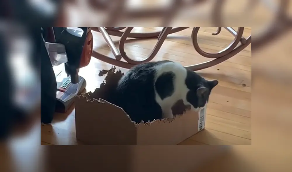 Desliza hacia la izquierda para ver las imágenes del viral de Facebook. Desliza hacia la izquierda para ver las imágenes del viral de Facebook.