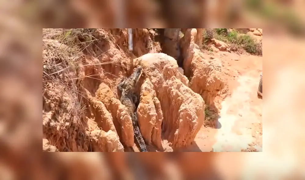 Desliza hacia la izquierda para ver el experimento que se viralizó en YouTube.