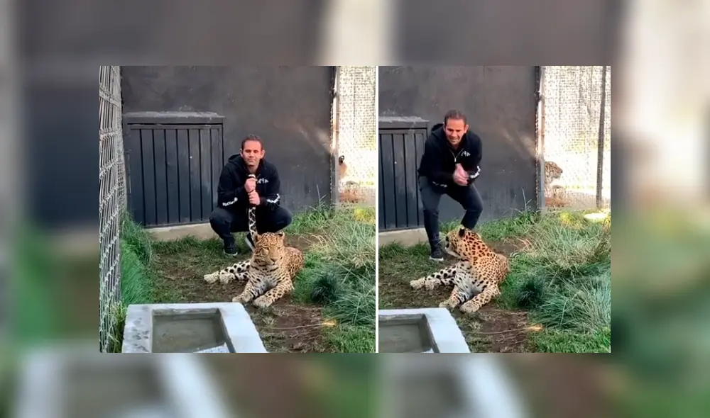 Desliza hacia la izquierda para ver la reacción del felino con su dueño, escena que es viral en Facebook. Desliza hacia la izquierda para ver la reacción del felino con su dueño, escena que es viral en Facebook.