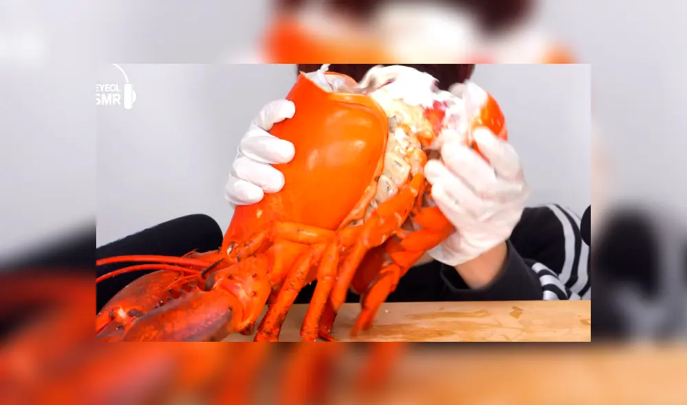 Desliza a la izquierda para ver el gigante platillo que sorprendió a los usuarios de YouTube. Desliza a la izquierda para ver el gigante platillo que sorprendió a los usuarios de YouTube.