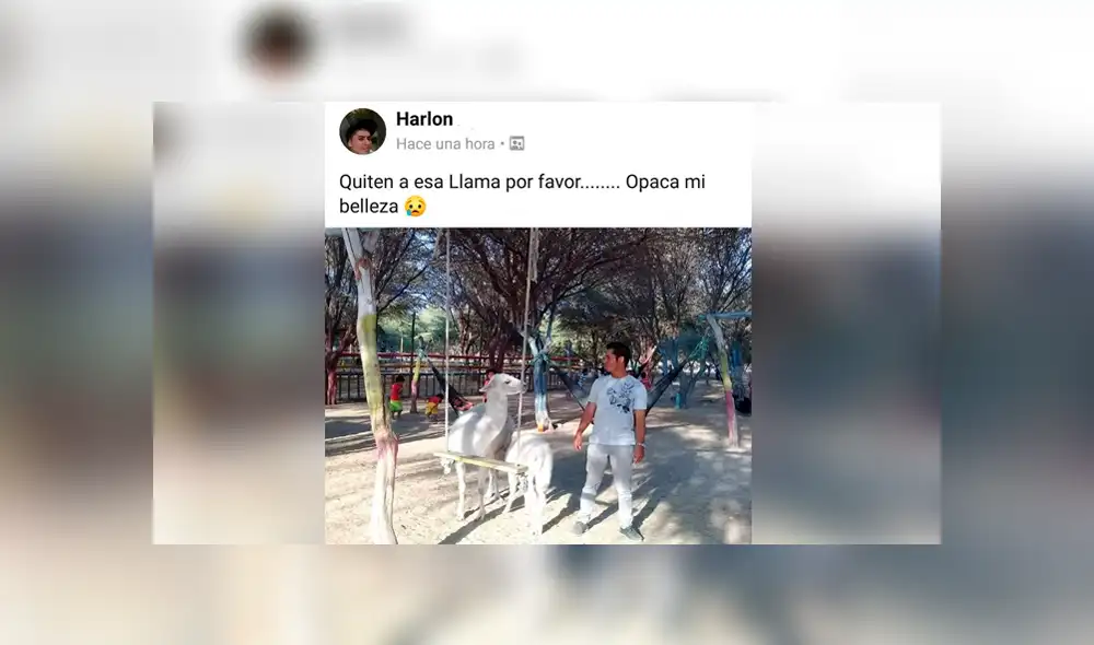 Facebook viral: joven peruano hace pedido y troles del Photoshop crean curiosos memes [FOTOS]