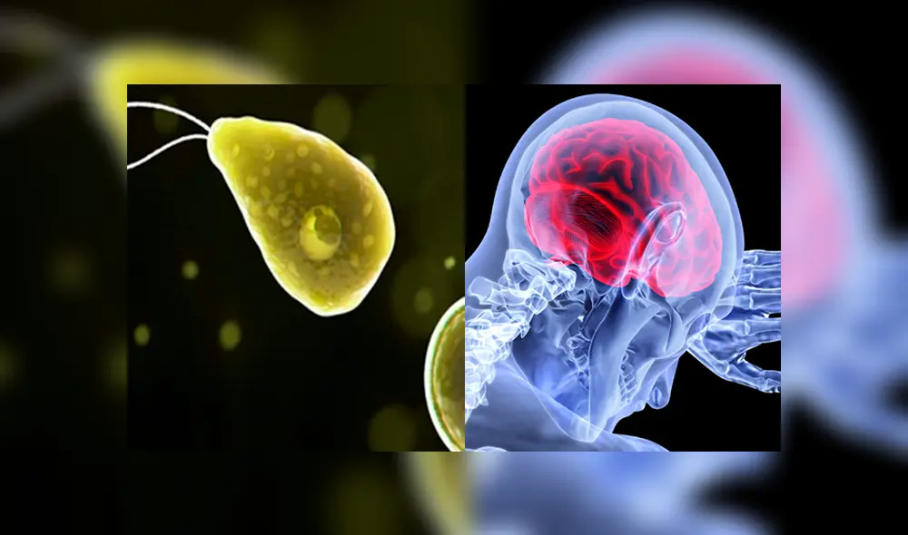 Este terrible mal encendió las alarmas en los Estados Unidos el último fin de semana. (Foto: composición Fermanuario / Sinmordaza) )