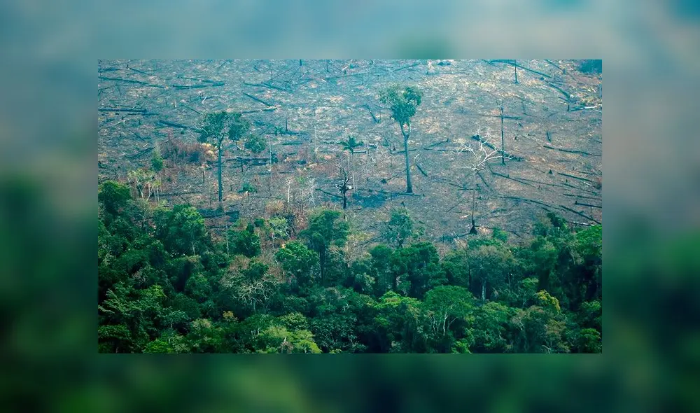 Cada año, los agricultores incendian el bosque amazónico para despejar as tierras. Foto: AFP.