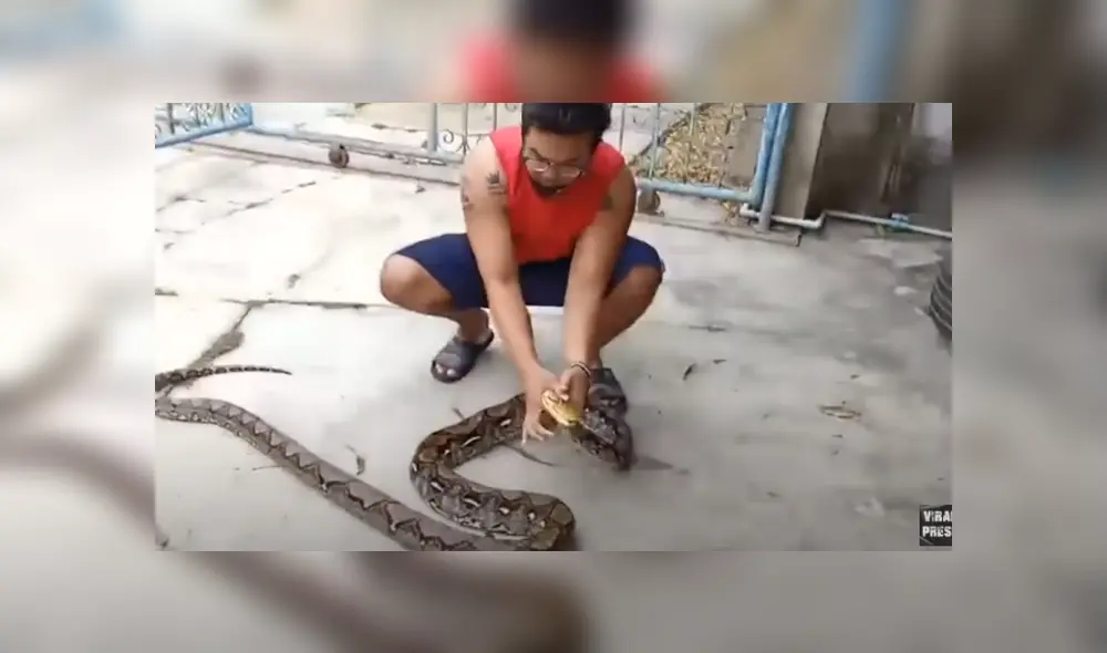 Desliza hacia la izquierda para ver las imágenes del viral de YouTube. Foto: Captura. Desliza hacia la izquierda para ver las imágenes del viral de YouTube. Foto: Captura.