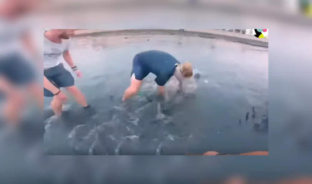 Desliza hacia la izquierda para ver el conmovedor rescate de tres tiburones. Imágenes virales de Facebook.