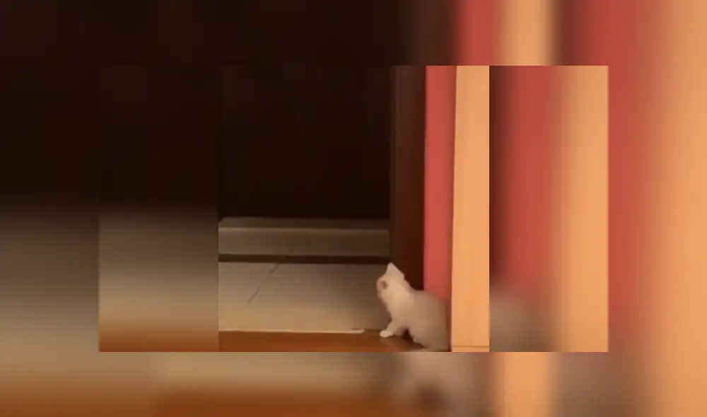 Desliza las imágenes para conocer más sobre esta escena que ya es viral en Facebook. Desliza las imágenes para conocer más sobre esta escena que ya es viral en Facebook.