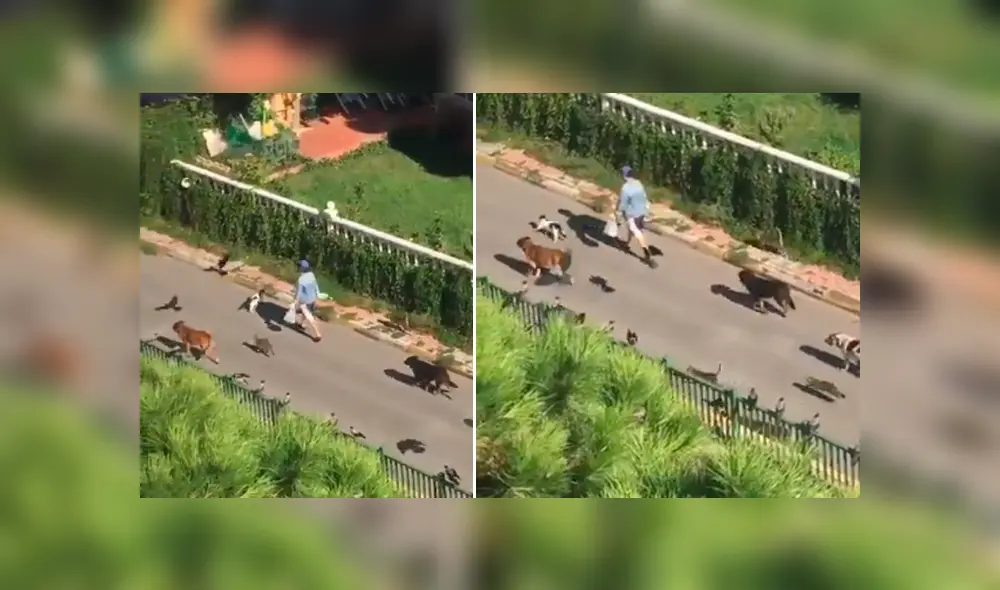 Desliza hacia la izquierda para ver más del video viral. Fotocaptura: Twitter Desliza hacia la izquierda para ver más del video viral. Fotocaptura: Twitter