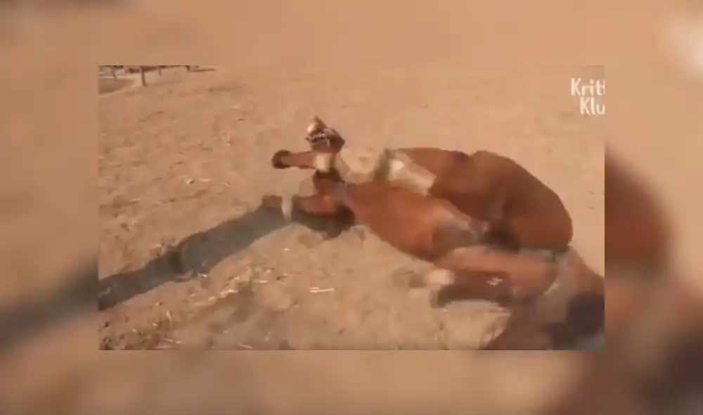 Desliza hacia la izquierda para ver más del video viral de Facebook