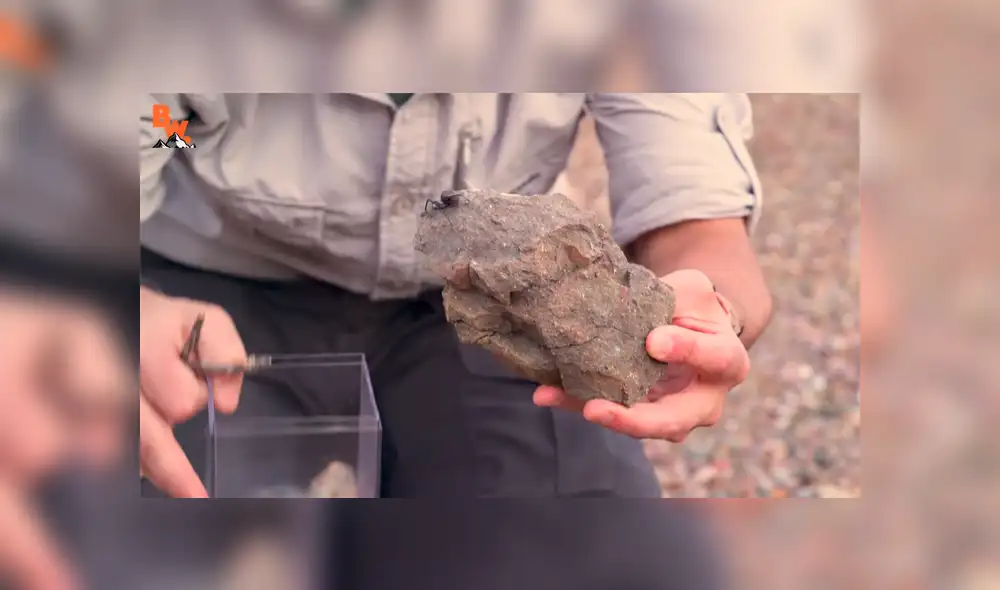 Desliza para ver los momentos más impactantes del aterrador video.