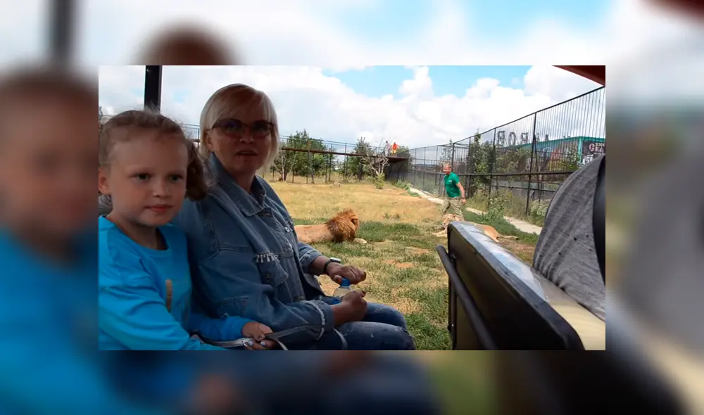 Leona enfurece con turistas al despertar bruscamente.