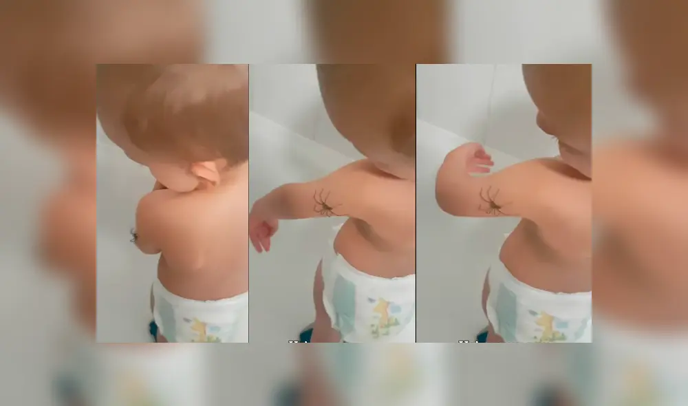 Facebook viral: bebé descubre que enorme araña caminaba por su brazo y tiene insólita reacción Facebook viral: bebé descubre que enorme araña caminaba por su brazo y tiene insólita reacción