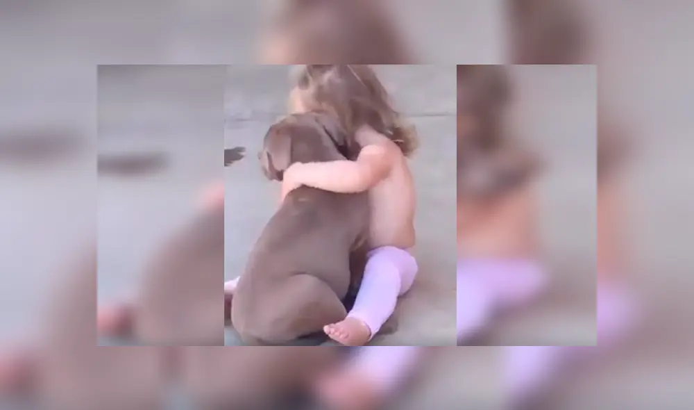 Desliza las imágenes hacia la izquierda para apreciar la sentimental escena entre una niña junto a su perro.