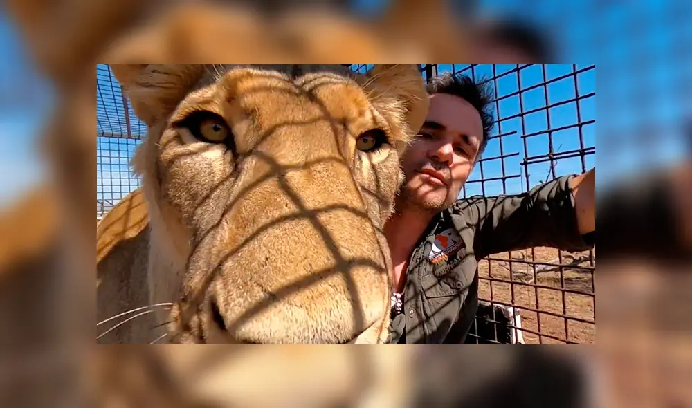 Desliza hacia la izquierda para ver el encuentro de un hombre con dos leones dentro de una jaula, escena que es viral en YouTube.