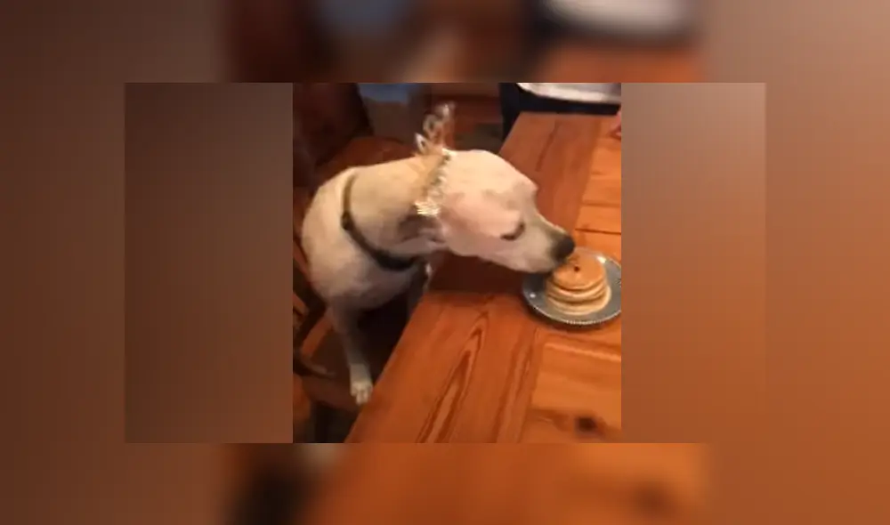 Desliza hacia la izquierda para ver las imágenes del viral de Facebook. Foto: Captura.