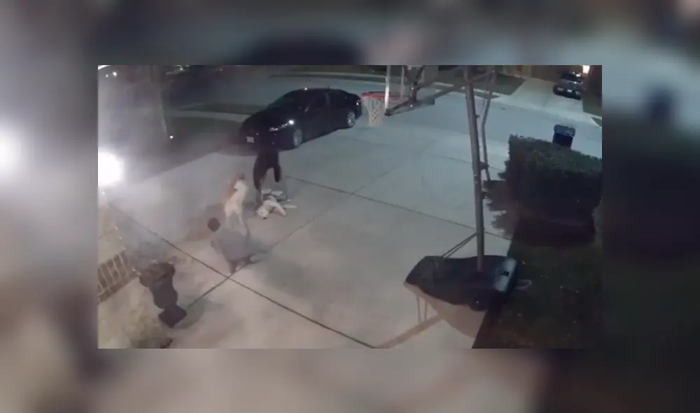 Desliza hacia la izquierda para ver más del video viral