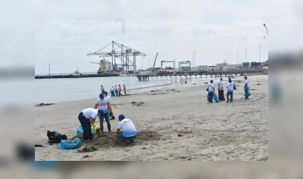 Paita: voluntarios limpian playa El Toril 