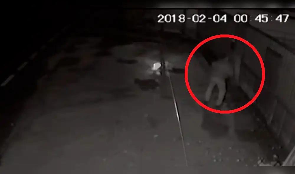 España: Sujeto lanza a su perra preñada por encima de una valla de seguridad