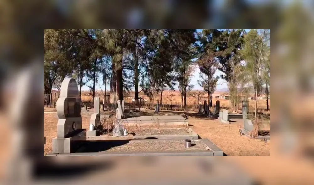 Sudáfrica: Espeluznante confesión de hombre acusado de canibalismo Sudáfrica: Espeluznante confesión de hombre acusado de canibalismo