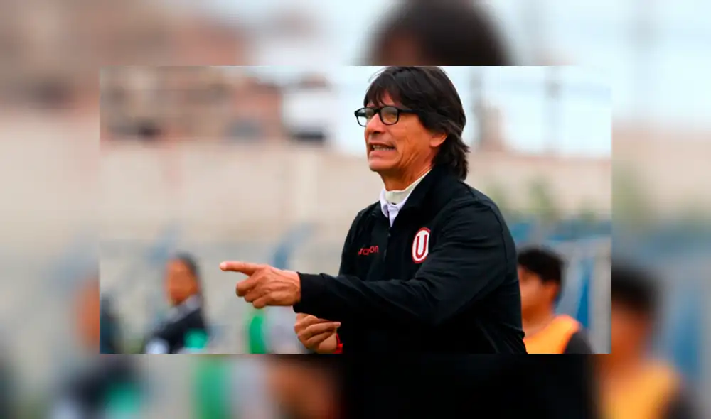 Corzo sobre Comizzo Corzo sobre Comizzo