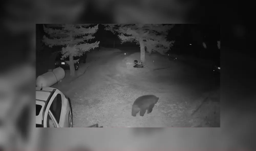 Desliza hacia la izquierda para ver las imágenes del viral de Facebook.