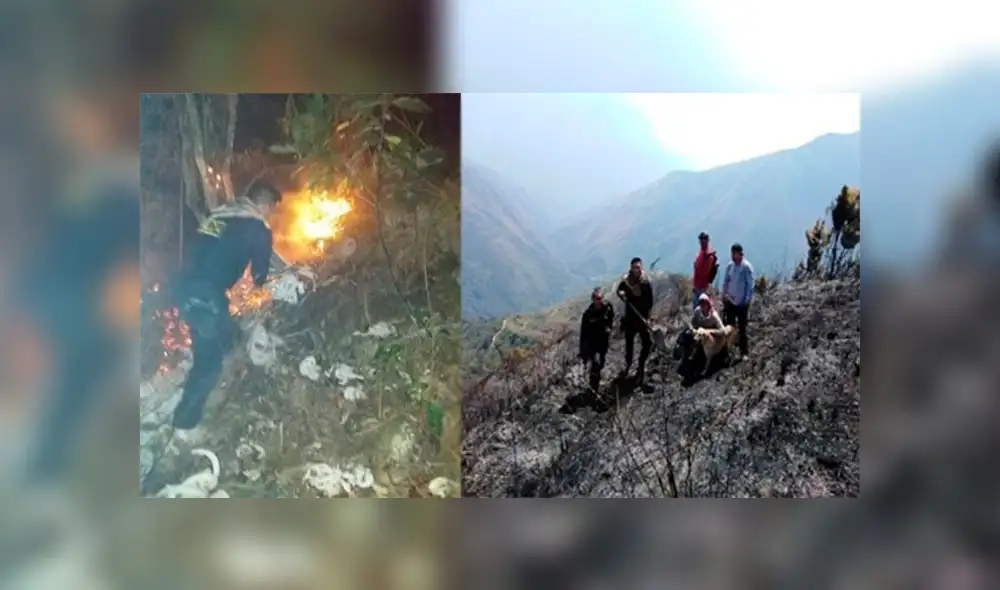 Nuevo incendio forestal afectó flora en Cusco