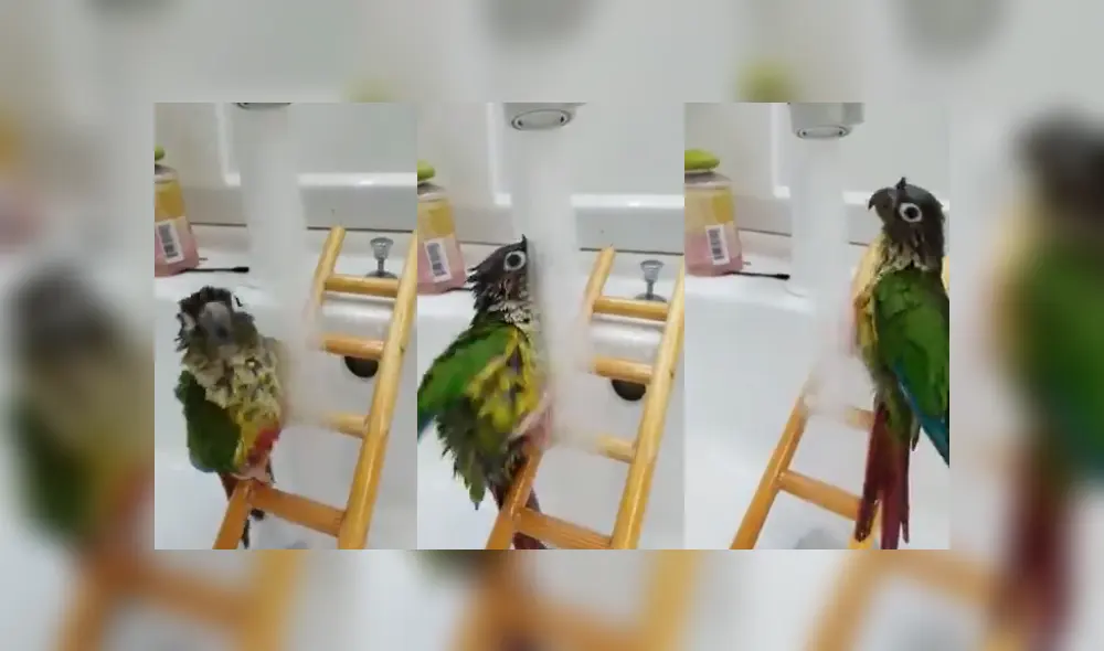 Desliza para ver los detalles del video viral publicado en YouTube. Foto: Captura. Desliza para ver los detalles del video viral publicado en YouTube. Foto: Captura.