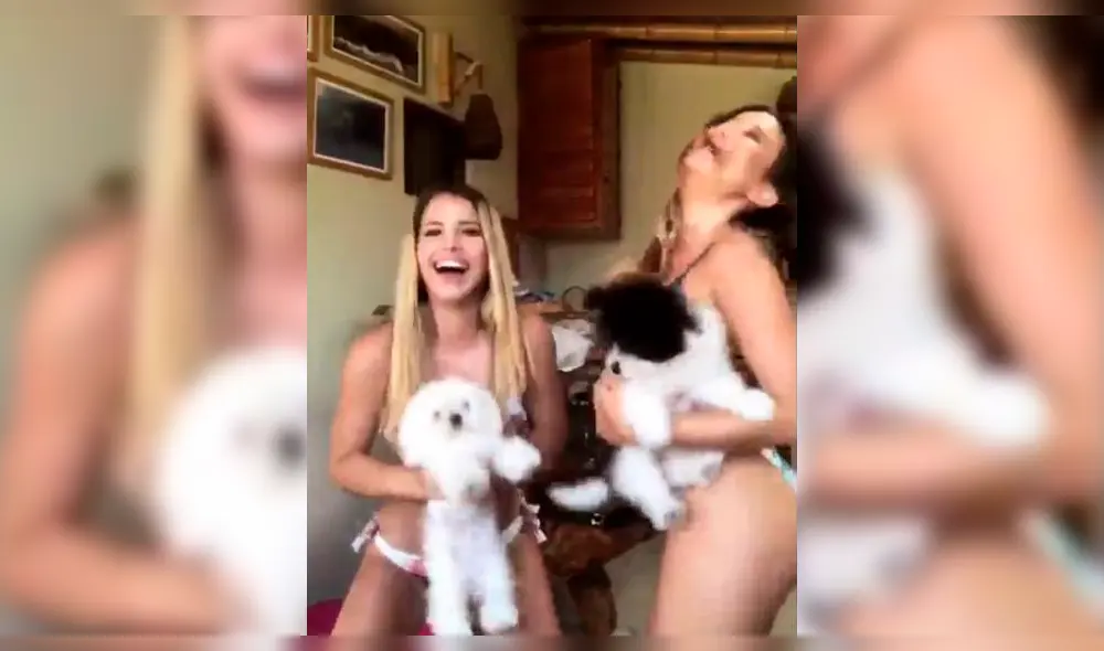 Alessandra Fuller contra Flavia Laos: "Si vas a mentir, mejor no declares" [VIDEO]