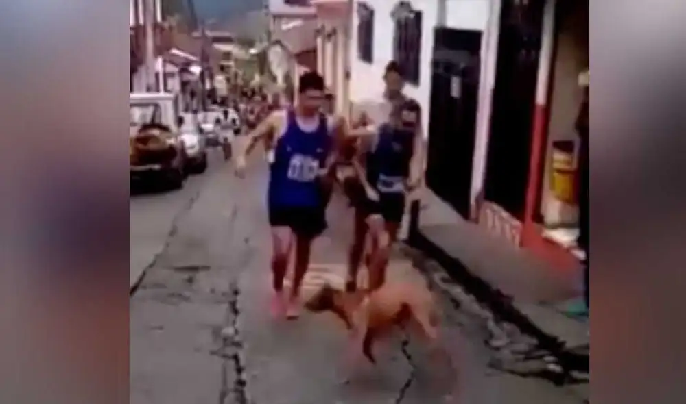 El atleta había conseguido el segundo lugar en la carrera donde se produjo el incidente. Foto: captura de video.