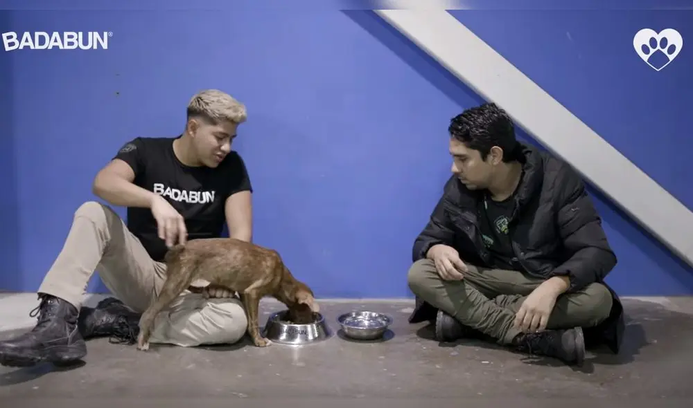 Pareja de 'Chica Badabun' revela ser autor intelectual de robo y secuestro