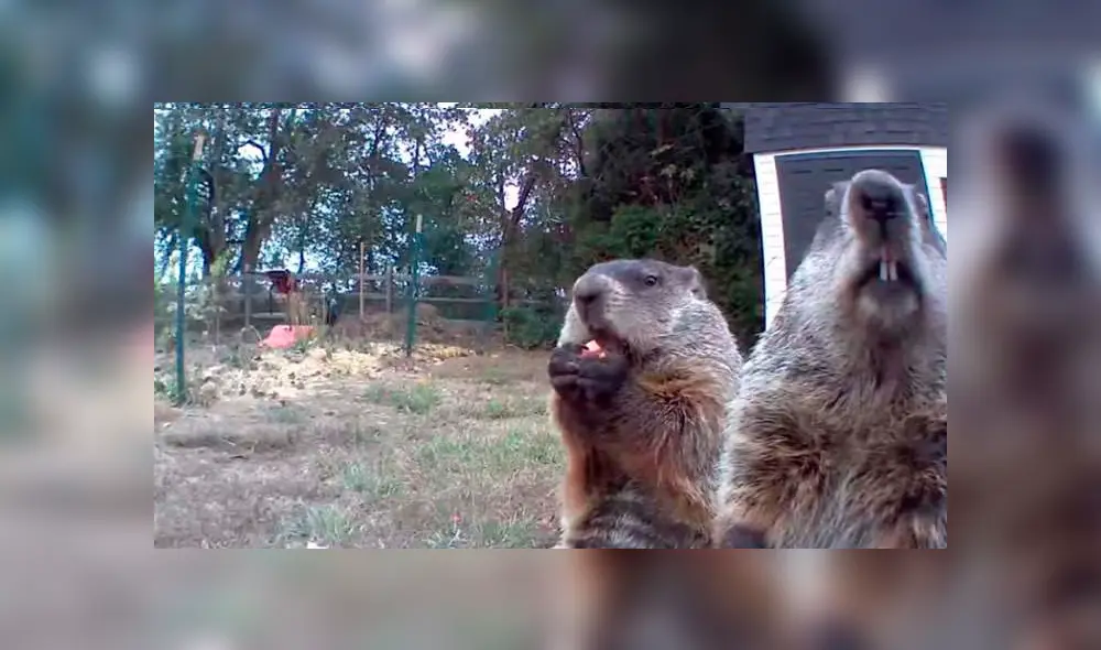 Desliza para ver los detalles del video viral de Facebook. Foto: Captura.