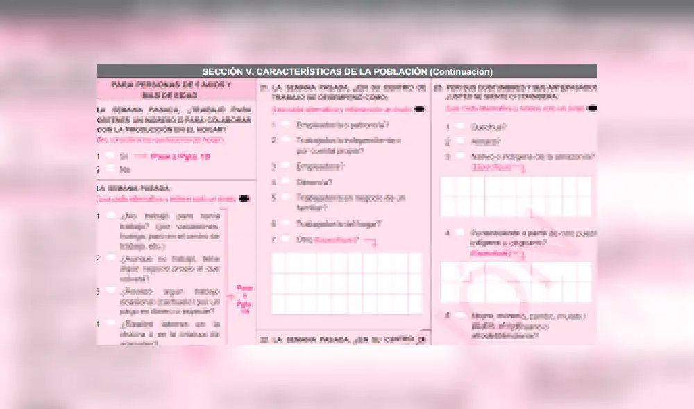 Censo 2017: las preguntas más polémicas que responderás este domingo Censo 2017: las preguntas más polémicas que responderás este domingo