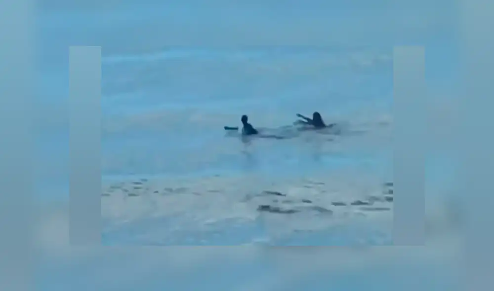 Un video viral de Facebook mostró la traumática experiencia que vivieron dos bañistas al ser perseguidos por un feroz tiburón, mientras disfrutaban de una paradisíaca playa. Un video viral de Facebook mostró la traumática experiencia que vivieron dos bañistas al ser perseguidos por un feroz tiburón, mientras disfrutaban de una paradisíaca playa.