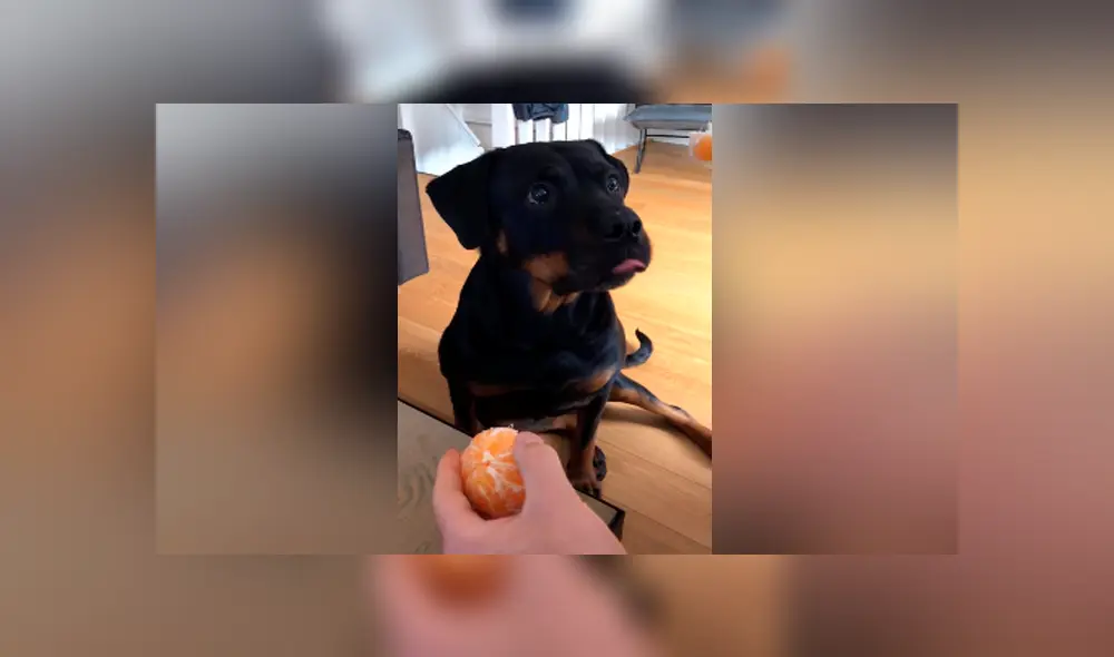 Desliza para ver los momentos más hilarantes del video viral de YouTube.