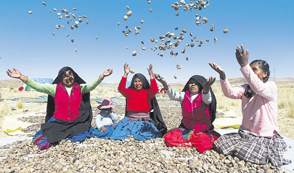 Puno Chuño agricultura papa (Foto: Juan Carlos Cisneros) Puno Chuño agricultura papa (Foto: Juan Carlos Cisneros)