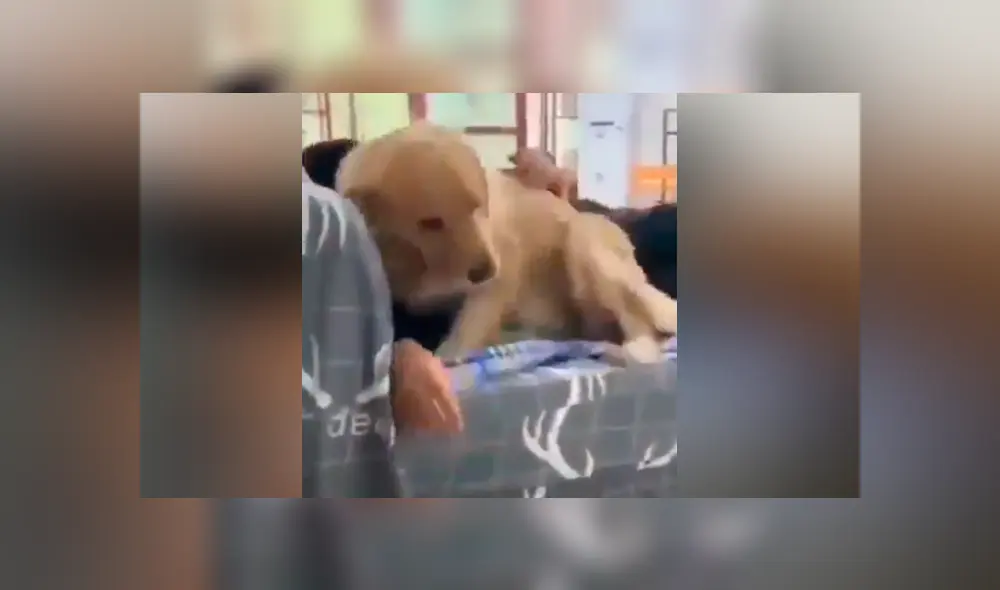 Desliza para ver las imágenes más divertidas del video que se hizo viral en Facebook. Desliza para ver las imágenes más divertidas del video que se hizo viral en Facebook.