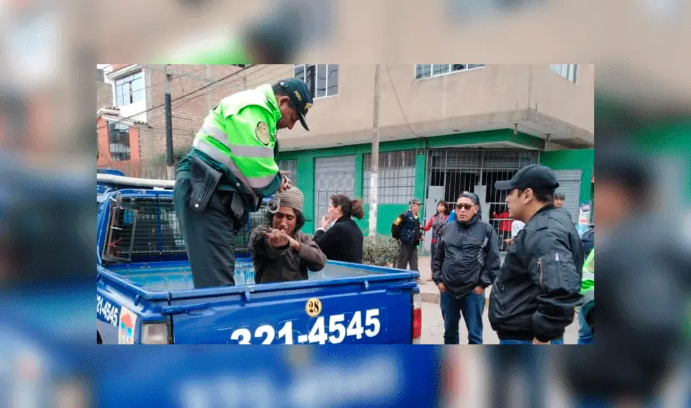 Brigada canina Brigada canina