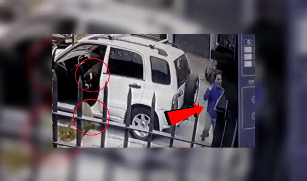 YouTube viral: Perros ven que su dueño es asaltado con pistola y lo rescatan valerosamente [VIDEO] 