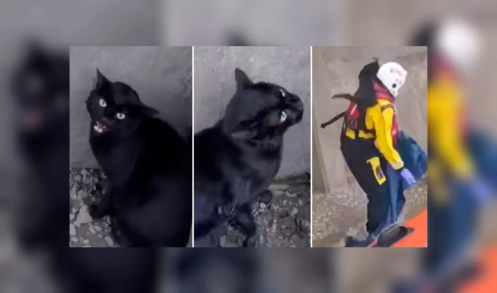 Desliza la imagen compartida para verlas todas. Foto: RNLI/Facebook