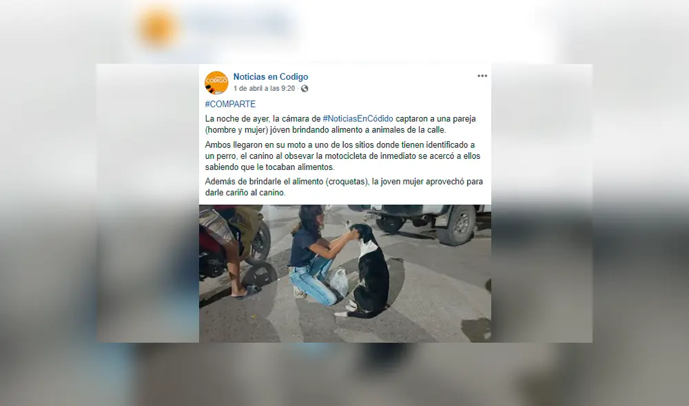 Desliza las imágenes para conocer la generosa acción de una pareja de novios con unos animales callejeros. Desliza las imágenes para conocer la generosa acción de una pareja de novios con unos animales callejeros.