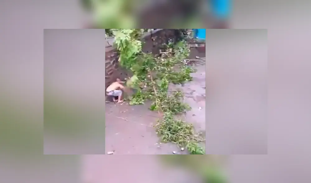 Desliza hacia la izquierda para ver el momento en que el hombre interfiere en la batalla de dos enormes serpientes en Filipinas. El video es viral en YouTube.