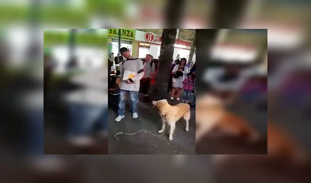 En Facebook, un joven ambulante realizó un espectáculo en la calle junto a su perro que impactó con su acto.