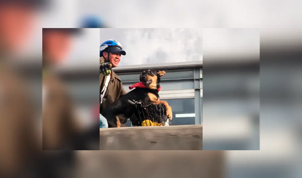 Desliza a la izquierda para ver más sobre este nuevo viral de Facebook. Foto: Captura.