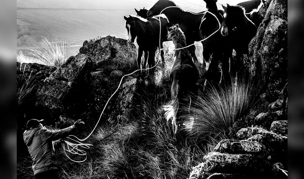 La fuerza de la Pampa La fuerza de la Pampa